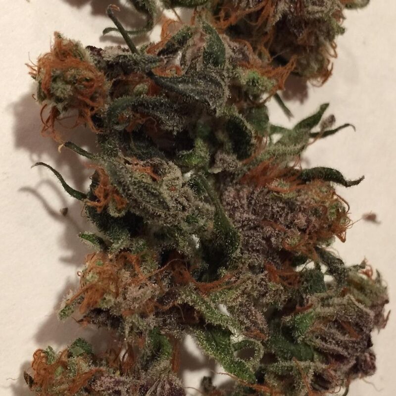 Alaskan Thunder Fuck