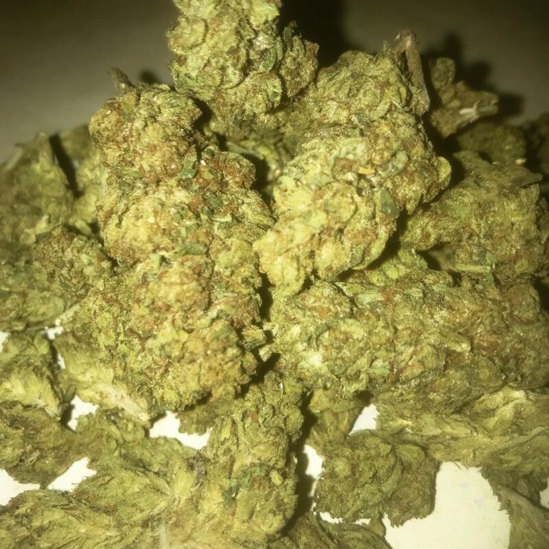 XXX OG Kush