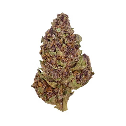 Purple Kush THCa Flower | Indica